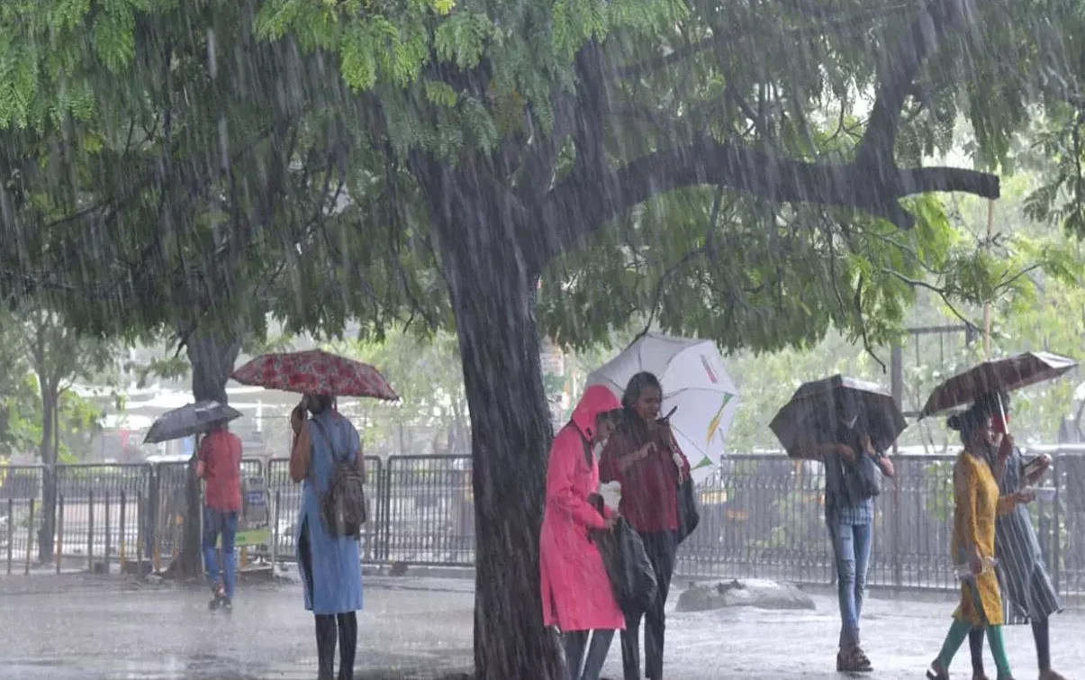 rain alert in Nagpur and nearby districts